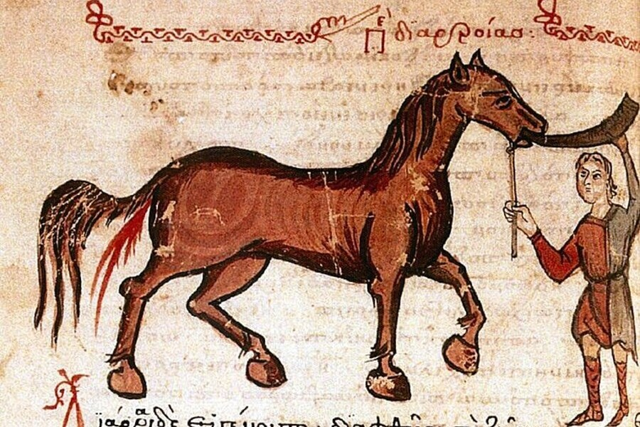 Asignatura Historia de la veterinaria de la carrera de veterinaria