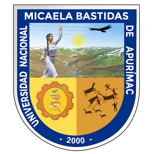 universidad-nacional-micaela-bastidas-de-apurímac